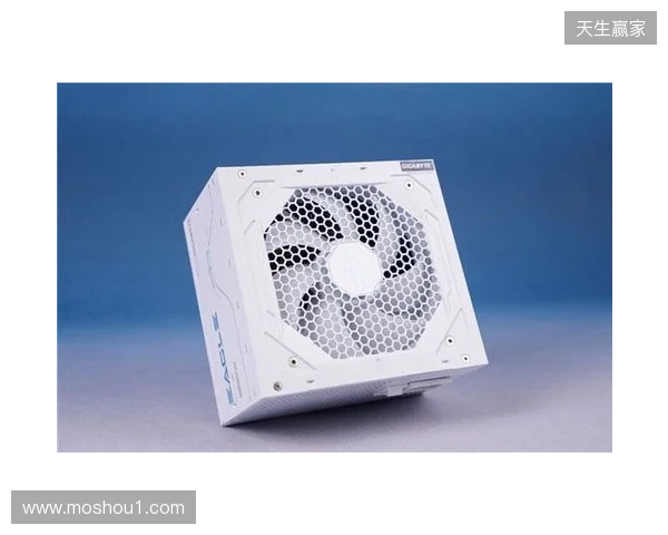 黑白双鹰，白金降临：技嘉猎鹰 冰猎鹰白金电源4月27日开售